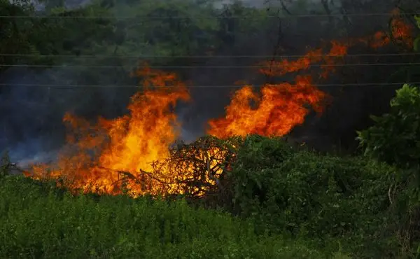 Paraná está em alerta para incêndios florestais e poluição do ar